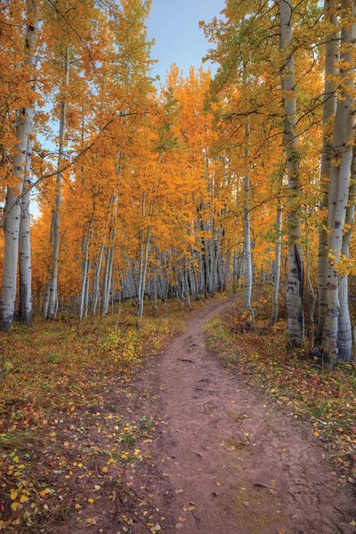 Bill Sherrell: Pathway To Wonder by Bill Sherrell