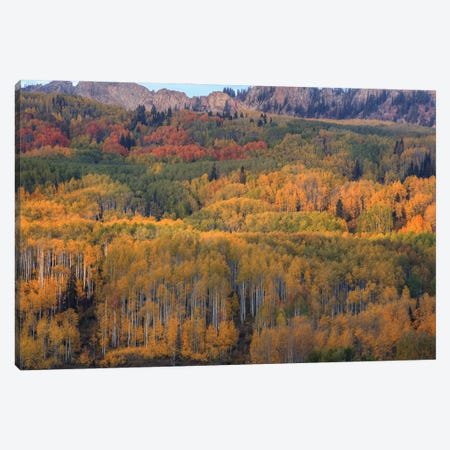 The Abounding Colors Of Autumn Canvas Print #SHL325} by Bill Sherrell Canvas Print