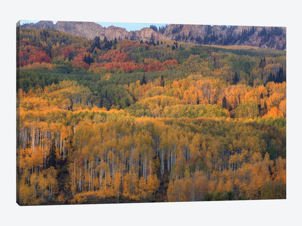 The Abounding Colors Of Autumn by Bill Sherrell 1-piece Canvas Art Print