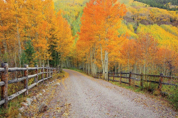 Bill Sherrell: Wondrous Journey by Bill Sherrell