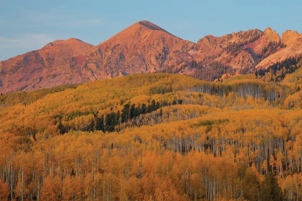 Bill Sherrell: Majestic Autumn by Bill Sherrell