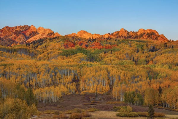 Bill Sherrell: Fall Into Autumn by Bill Sherrell