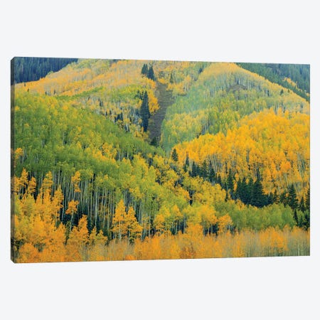Kaleidoscope Autumn Canvas Print #SHL348} by Bill Sherrell Canvas Artwork
