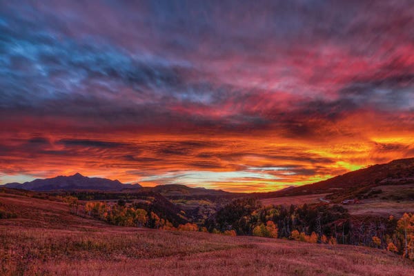 Bill Sherrell: Captivated By The Light by Bill Sherrell