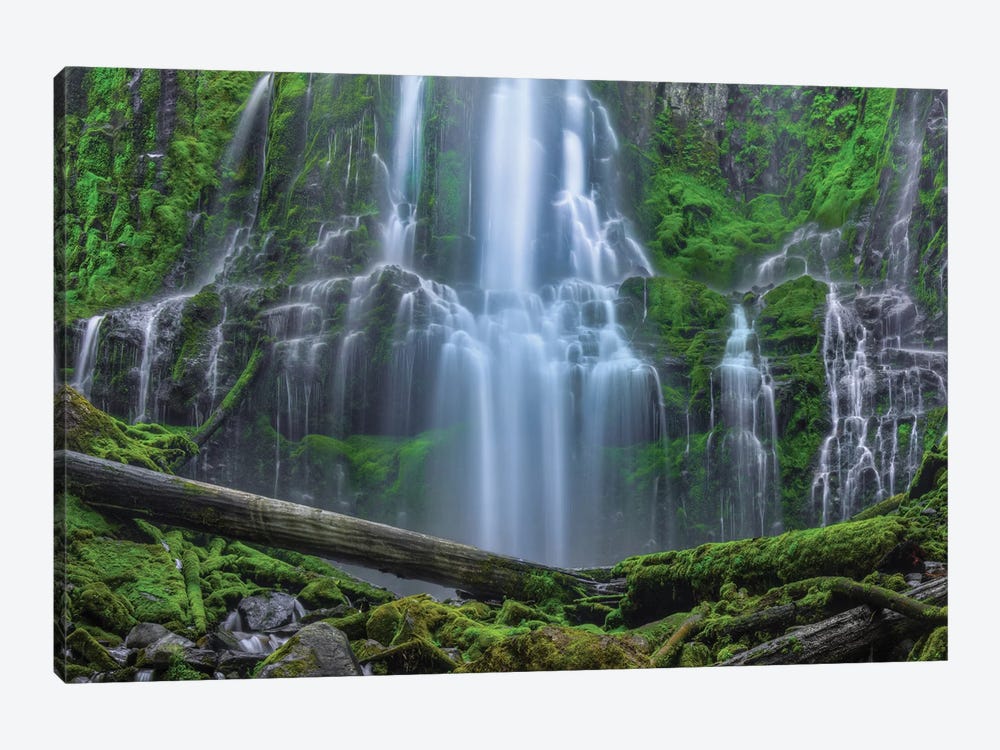 An Encounter With Paradise by Bill Sherrell 1-piece Canvas Wall Art