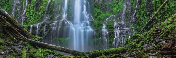 Bill Sherrell: An Encounter With Paradise Wide View by Bill Sherrell