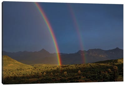 Double Rainbow Over Mount Sneffels Canvas Art Print - Bill Sherrell