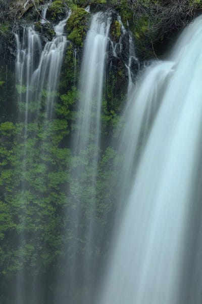Bill Sherrell: Drapes Of Grace by Bill Sherrell