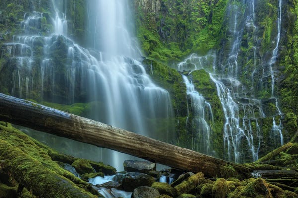 Bill Sherrell: Proxy Falls by Bill Sherrell