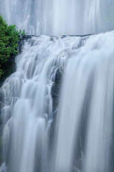 Shower Curtains by Bill Sherrell framed wall art