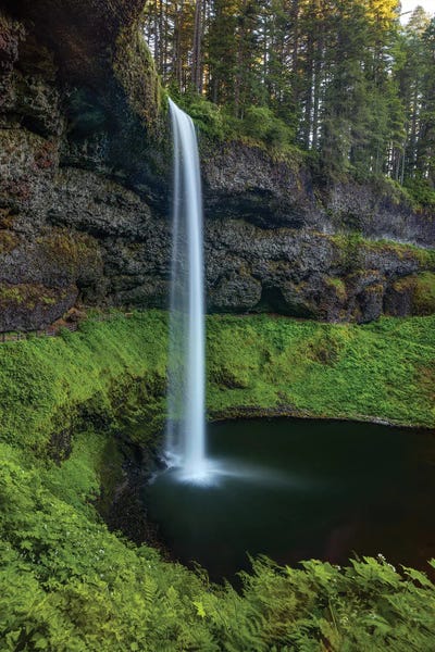 Bill Sherrell: Silver Falls Oregon by Bill Sherrell