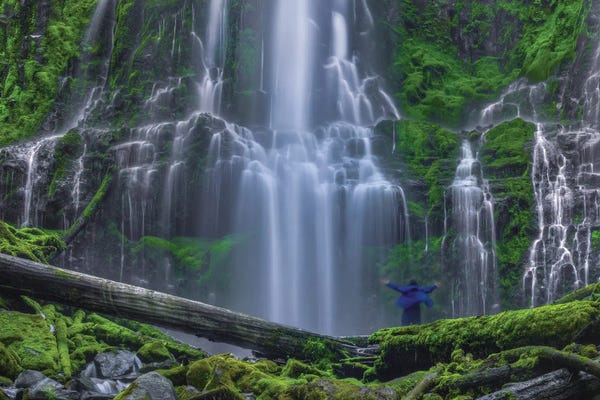 Bill Sherrell: The Euphoria Experience by Bill Sherrell