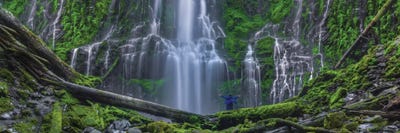 The Euphoria Experience Wide View by Bill Sherrell framed canvas print