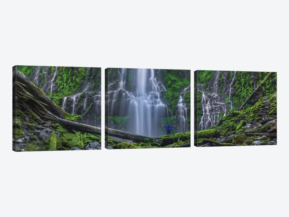 The Euphoria Experience Wide View by Bill Sherrell 3-piece Canvas Print