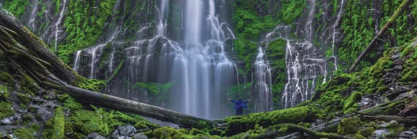 Bill Sherrell: The Euphoria Experience Wide View by Bill Sherrell