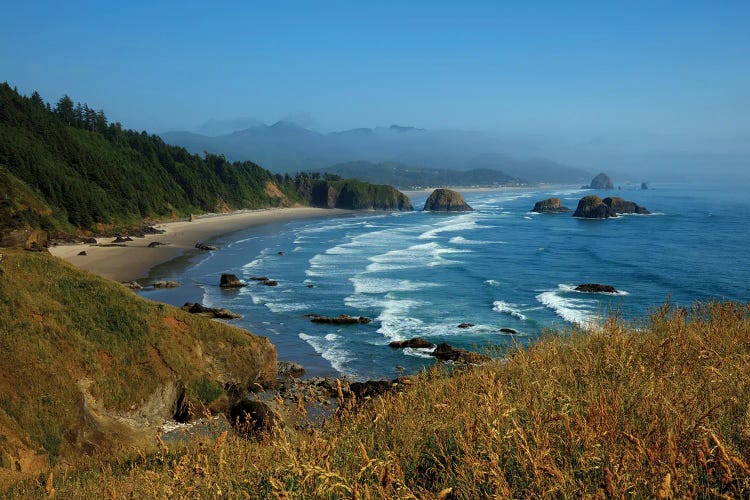 The Oregon Coast by Bill Sherrell wall art