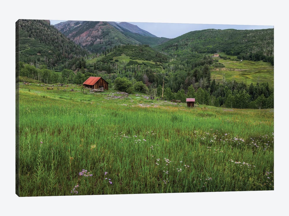 Wildflowers Near An Old Shack by Bill Sherrell 1-piece Canvas Print