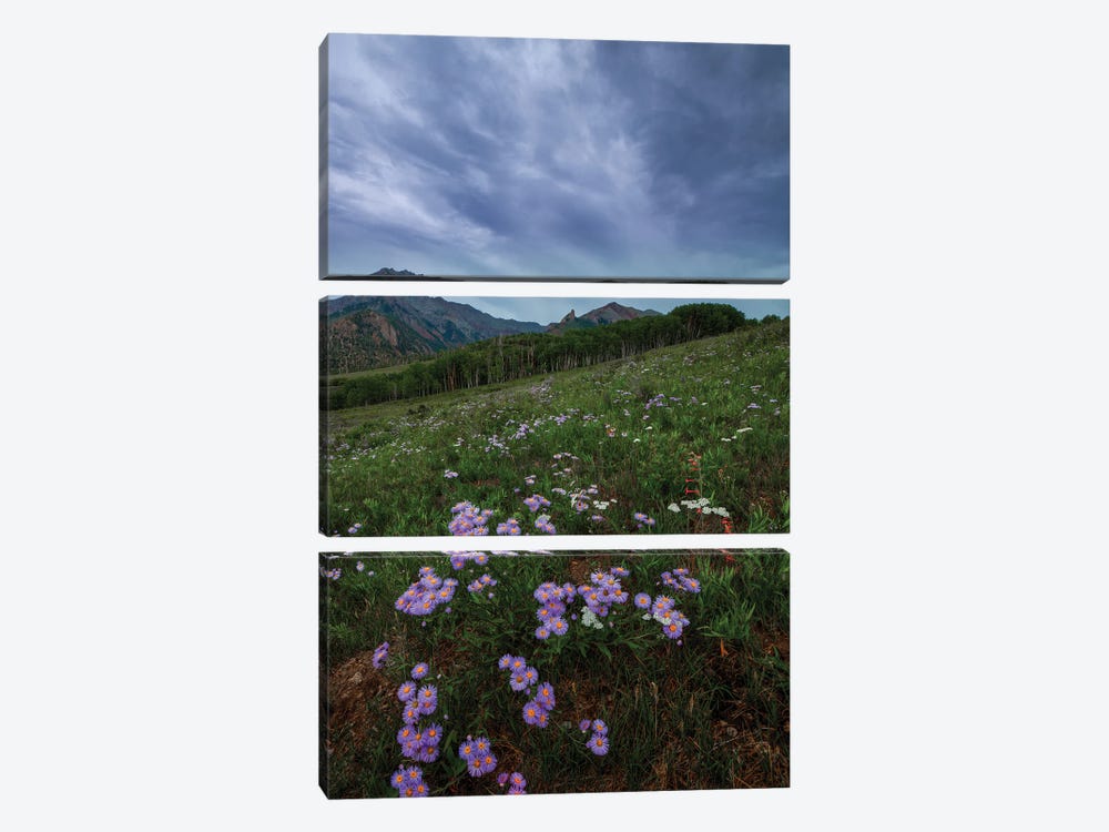 Wildflowers At Deep Creek Mesa by Bill Sherrell 3-piece Canvas Art Print