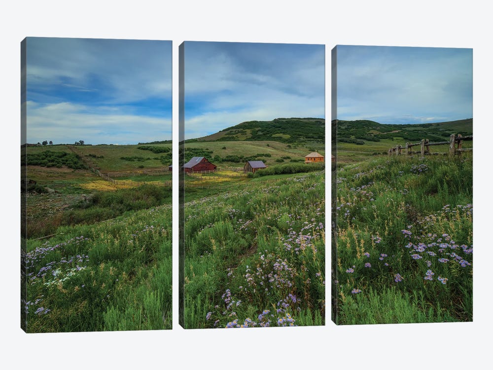 Wildflowers At The True Grit Ranch by Bill Sherrell 3-piece Canvas Wall Art