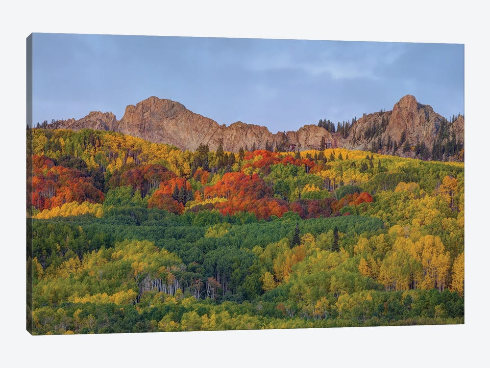A Crown Of Color by Bill Sherrell 1-piece Canvas Print