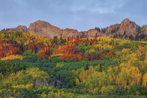 Layered Landscapes: A Crown Of Color by Bill Sherrell