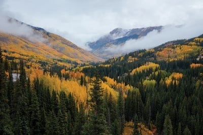 A Sight To Behold by Bill Sherrell framed wall art