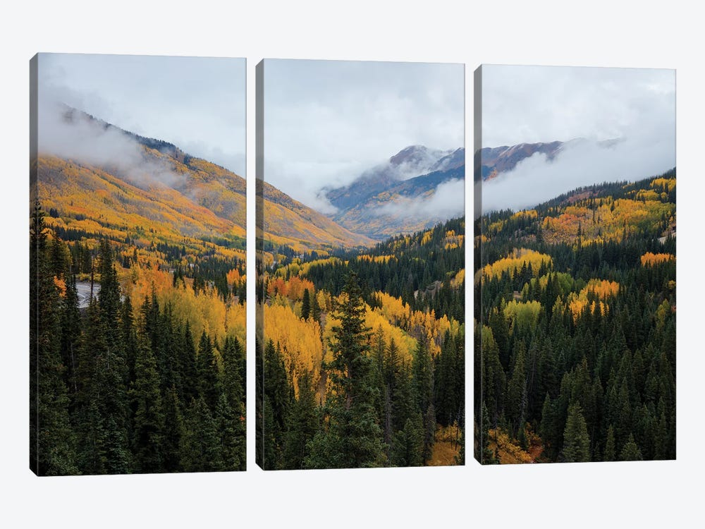 A Sight To Behold by Bill Sherrell 3-piece Canvas Wall Art