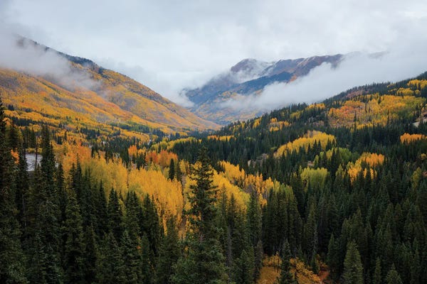 Bill Sherrell: A Sight To Behold by Bill Sherrell