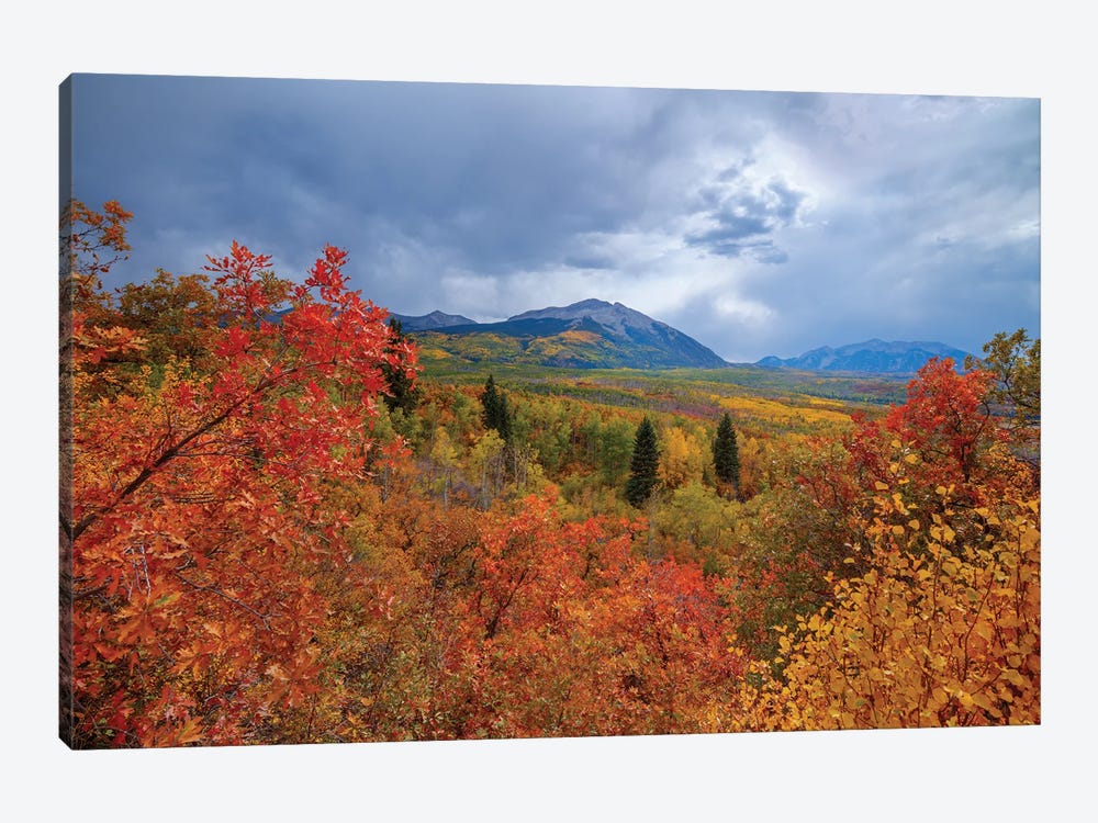 Autumn At Kebler Pass by Bill Sherrell 1-piece Canvas Art