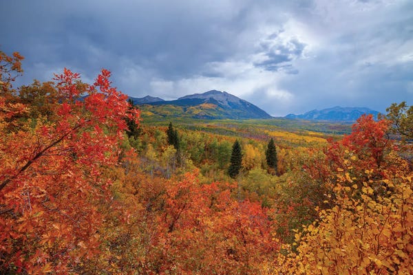 Colorado: Autumn At Kebler Pass by Bill Sherrell
