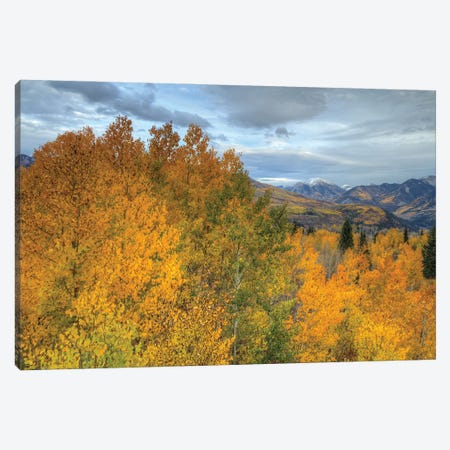 Autumn At McClure Pass Canvas Print #SHL400} by Bill Sherrell Canvas Print