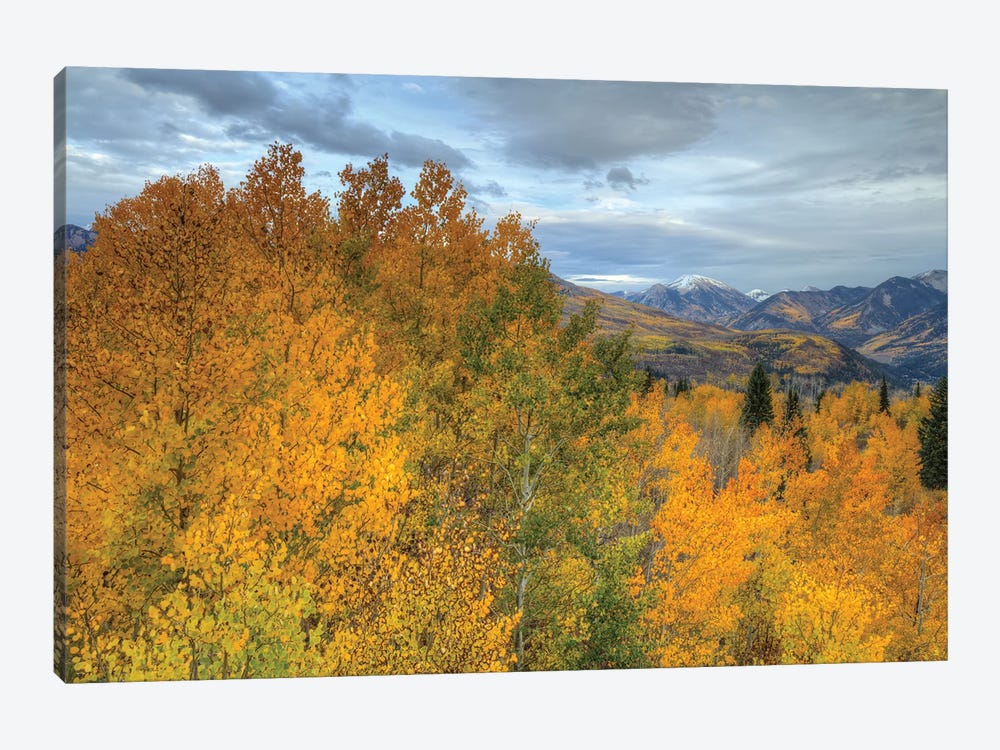 Autumn At McClure Pass by Bill Sherrell 1-piece Canvas Art Print