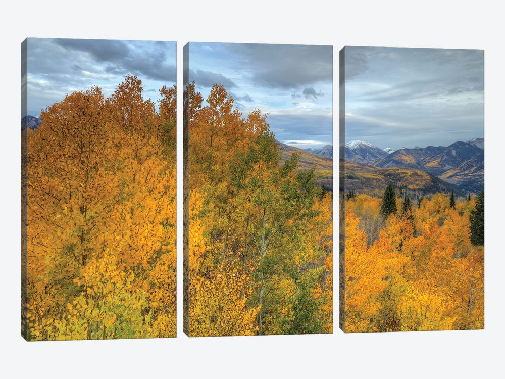 Autumn At McClure Pass by Bill Sherrell 3-piece Canvas Print