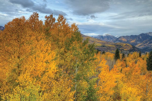 Colorado: Autumn At McClure Pass by Bill Sherrell