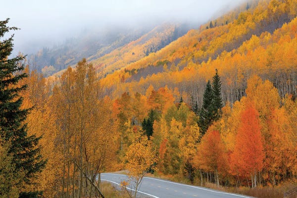 Colorado: Autumn Epithany I by Bill Sherrell