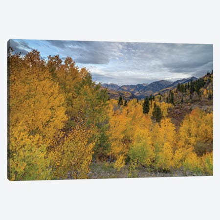 Autumn Glory At McClure Pass I Canvas Print #SHL410} by Bill Sherrell Canvas Artwork