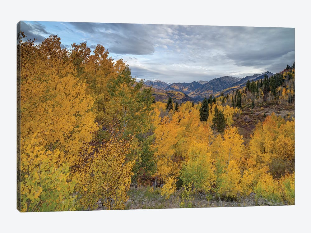 Autumn Glory At McClure Pass I by Bill Sherrell 1-piece Canvas Wall Art