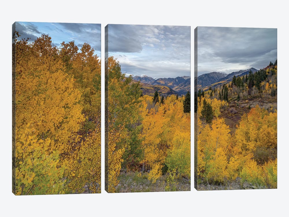 Autumn Glory At McClure Pass I by Bill Sherrell 3-piece Canvas Wall Art