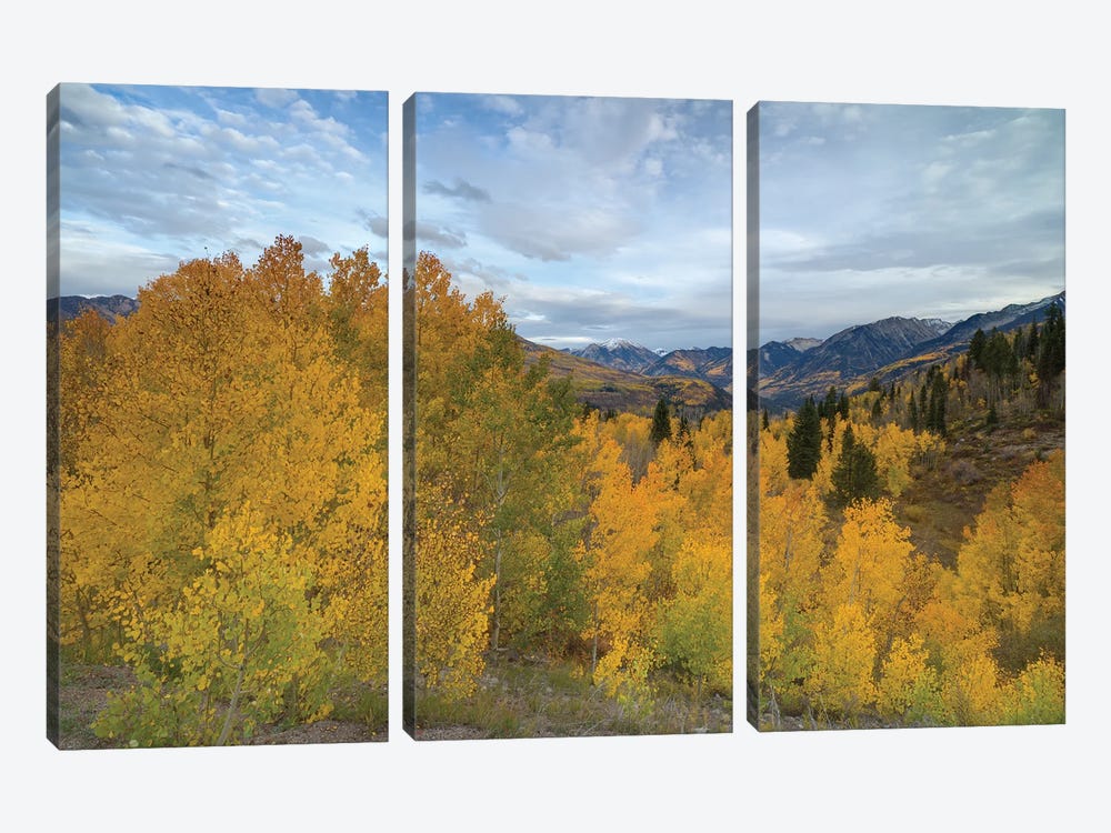Autumn Glory At McClure Pass III by Bill Sherrell 3-piece Canvas Wall Art