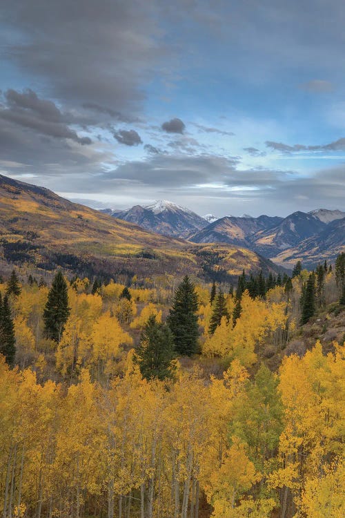 Autumn Glory At McClure Pass V