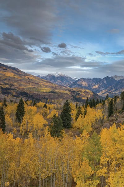 Colorado: Autumn Glory At McClure Pass V by Bill Sherrell