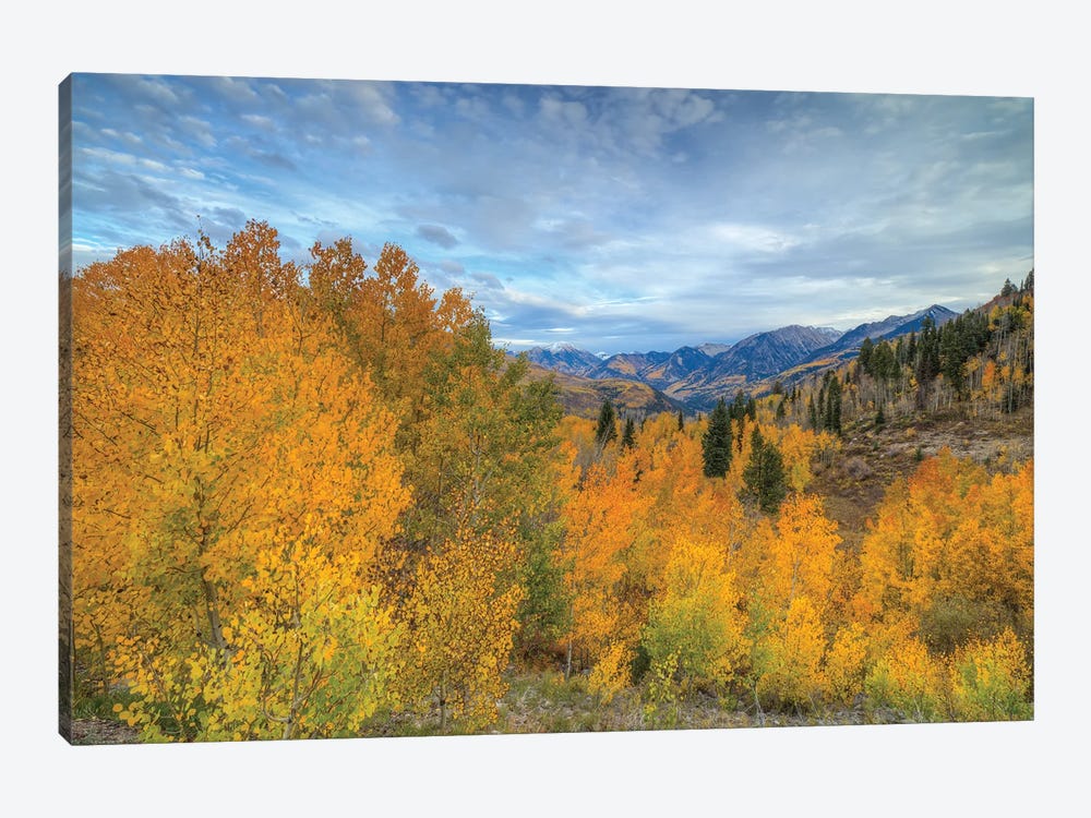 Autumn Glory At McClure Pass VI by Bill Sherrell 1-piece Canvas Wall Art