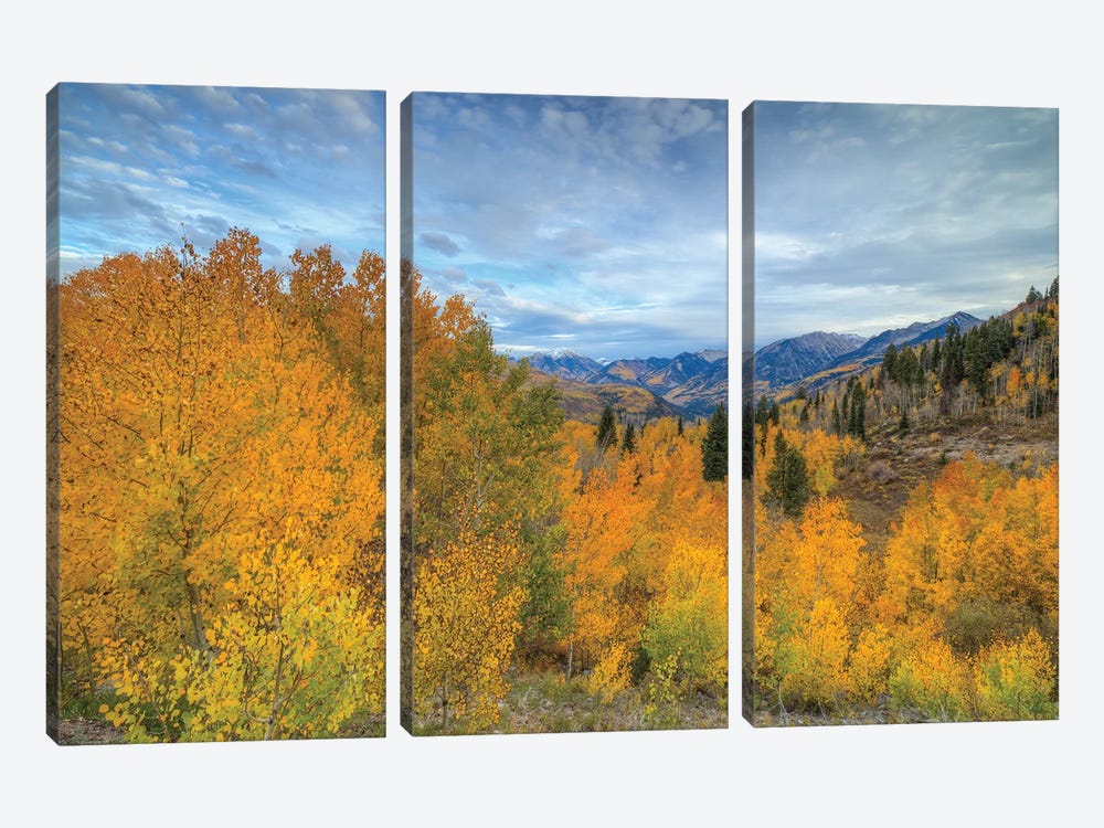 Autumn Glory At McClure Pass VI by Bill Sherrell 3-piece Canvas Artwork