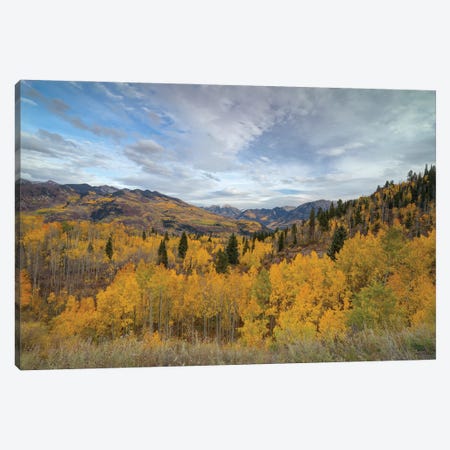 Autumn Glory At McClure Pass IV Canvas Print #SHL417} by Bill Sherrell Art Print