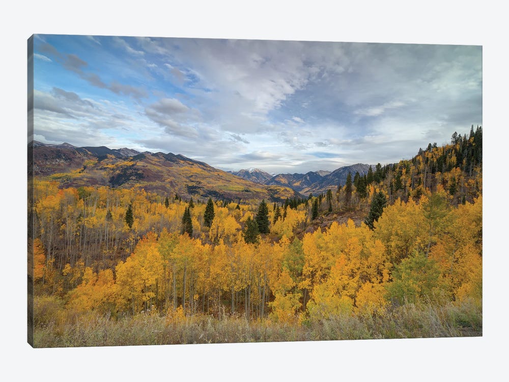 Autumn Glory At McClure Pass IV by Bill Sherrell 1-piece Art Print