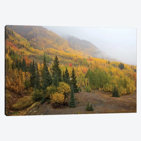 Autumn Majesty Unveiled Canvas Print #SHL418} by Bill Sherrell Canvas Wall Art