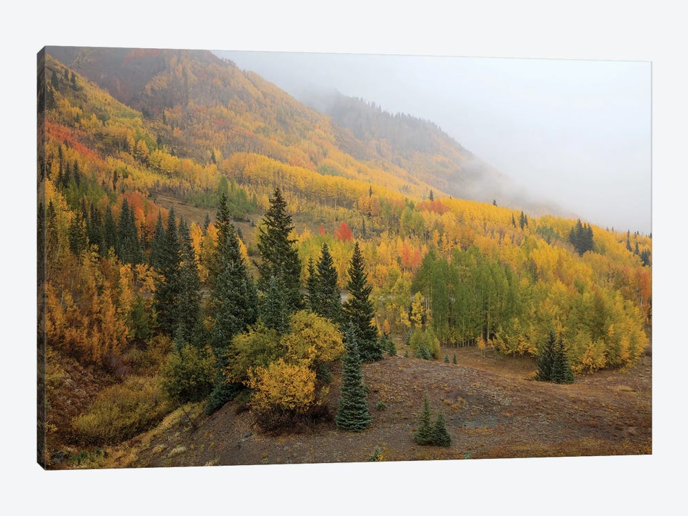 Autumn Majesty Unveiled by Bill Sherrell 1-piece Canvas Artwork
