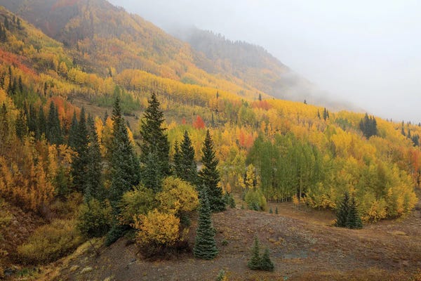 Bill Sherrell: Autumn Majesty Unveiled by Bill Sherrell