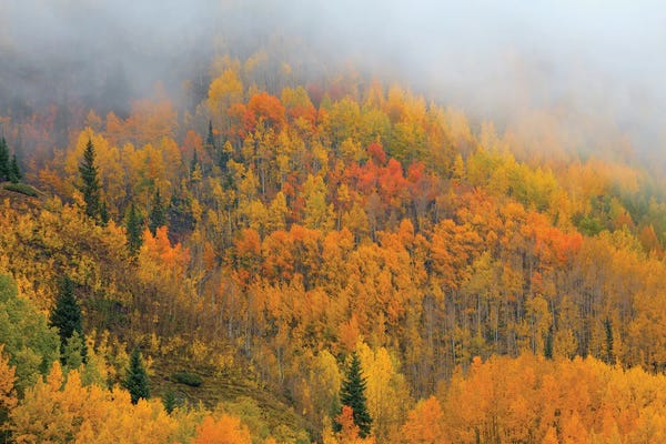 Colorado: Emergence by Bill Sherrell