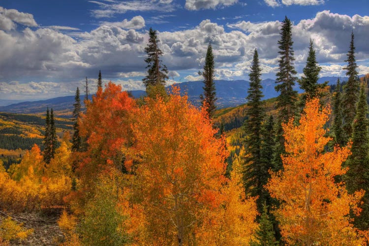 Autumn Fire At Ohio Pass